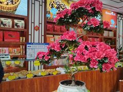 -崩豆张(古文化街店)