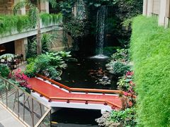 -广州白天鹅宾馆