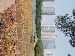 -南宁南湖公园