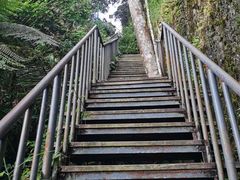-七仙岭温泉国家森林公园
