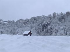 -白川乡与五箇山的合掌构造村落
