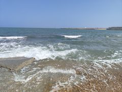 -日照海滨国家森林公园