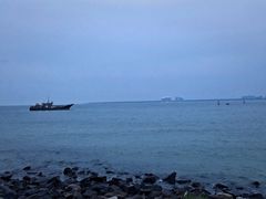 -东郊椰林