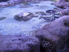 -南昌海洋公园