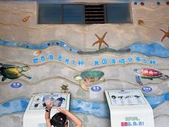 -广东惠东海龟国家级自然保护区