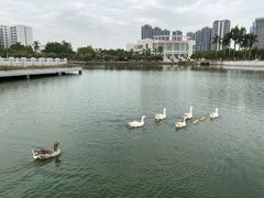 -顺德职业技术大学