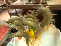 -尚海豆捞(乐虹坊店)