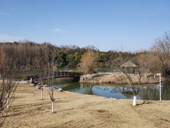 -天生桥景区