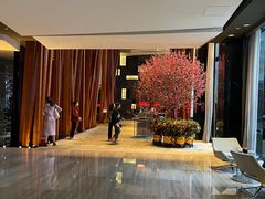 -广州富力君悦大酒店·关系酒廊