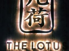-几荷·恰似故人来(秀水广场店)