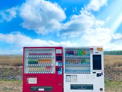 -野鸭湖国家湿地公园