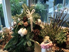 -春树下·树屋花房西餐厅(罍街AS1980店)