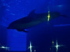 -华夏文旅西安度假区