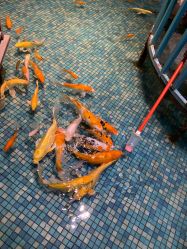 -酷嗒动物文化乐园(cutezoo西溪乐天城店)