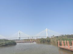 -芒洲湿地公园