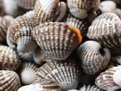 -大连双兴商品城