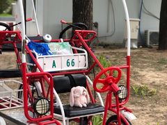 -朝阳公园游乐园