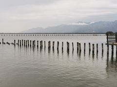 -哈素海