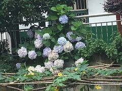 -韶山毛泽东同志故居