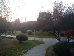 -玉山公园