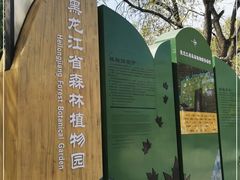 -黑龙江省森林植物园