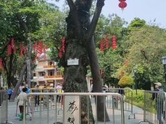 -荔湾湖公园