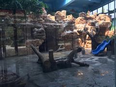 -石家庄市动物园