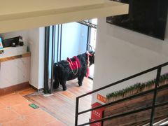 -后院犇牛主题餐厅(云岗店)