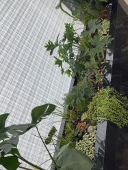 -重庆军科整形美容医院