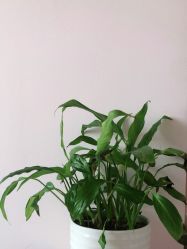 -时尚妈咪产后修复中心