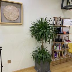 -涩谷· Hair Salon