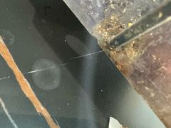 -尕羊烤肉餐厅·清真(会宁路店)