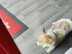 -南昌动物园