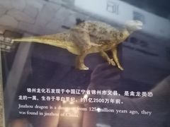 -中华赏石园