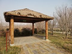 -淇河国家湿地公园