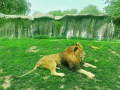 -北京野生动物园