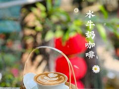 水牛奶咖啡-周大娘牛乳(旧寨古村总店)