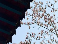 -碑林公园