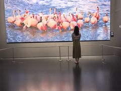 -罗红摄影艺术馆