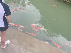 -重庆神龙峡漂流