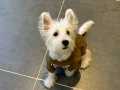 -萌兽医馆·眼科·异宠专科(三里屯店)