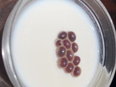 -莞府家宴·东莞菜(市民服务中心店)