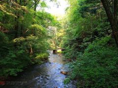 -吊水壶国家森林公园