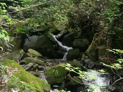 -藏龙百瀑风景区