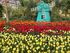 -南宫五洲植物乐园