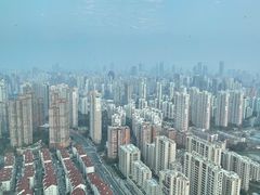-环球港凯悦 · 享悦中餐厅