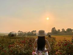 -光明小镇欢乐田园