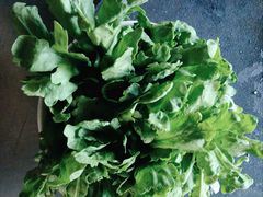 -竹叶涮肉坊(总店)