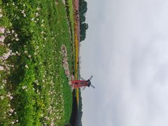 -苏州湾体育公园