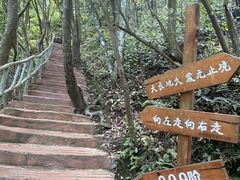 -龙湾潭国家森林公园